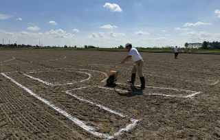 Un "Risegno" gigante per celebrare gli 80 anni del Carnaroli