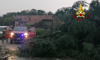 Moncrivello - Vigili del Fuoco al lavoro per maltempo, alberi e tetti pericolanti
