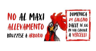 Vercelli - Domenica protesta in Piazza Cavour contro il maxi allevamento di Arborio