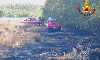 Borgo d’Ale - Incendio in un campo di orzo e in un bosco: intervento rapido dei Vigili del Fuoco