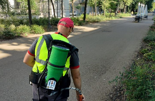 Vercelli - Prosegue la lotta alla zanzara tigre: oltre 5.500 tombini trattati