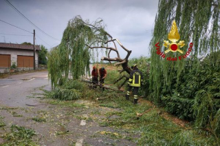 Villarboit - Intervento dei Vigili del Fuoco per la caduta di un albero e un palo telecom